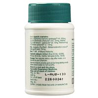Himalaya Wellness AyurSlim Capsules / Хималая АюрСлим 60 таб.