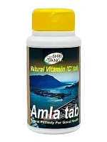Shri Ganga Ayurveda Amallaki Tab / Шри Ганга Амалаки 200 таб.