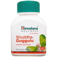 Himalaya Wellnes Shuddha-Guggulu / Хималая Шудха-Гуггул 60 таб.